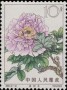 植物:亚洲:中国:cn196410.jpg