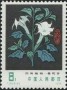 植物:亚洲:中国:cn197802.jpg