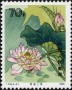 植物:亚洲:中国:cn198004.jpg