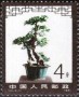 植物:亚洲:中国:cn198107.jpg