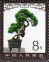植物:亚洲:中国:cn198108.jpg