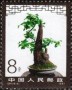 植物:亚洲:中国:cn198109.jpg