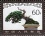 植物:亚洲:中国:cn198112.jpg