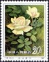 植物:亚洲:中国:cn198405.jpg