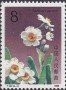植物:亚洲:中国:cn199001.jpg
