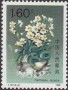 植物:亚洲:中国:cn199004.jpg