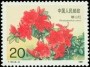 植物:亚洲:中国:cn199103.jpg