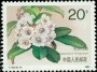 植物:亚洲:中国:cn199104.jpg