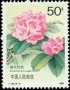 植物:亚洲:中国:cn199105.jpg