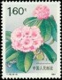 植物:亚洲:中国:cn199108.jpg