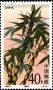植物:亚洲:中国:cn199303.jpg