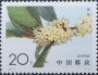 植物:亚洲:中国:cn199502.jpg