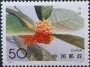 植物:亚洲:中国:cn199503.jpg