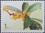 植物:亚洲:中国:cn199504.jpg