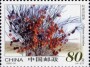 植物:亚洲:中国:cn200204.jpg
