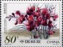 植物:亚洲:中国:cn200205.jpg