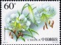 植物:亚洲:中国:cn200301.jpg
