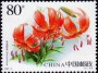 植物:亚洲:中国:cn200302.jpg