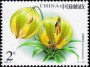 植物:亚洲:中国:cn200304.jpg