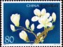 植物:亚洲:中国:cn200501.jpg