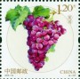 植物:亚洲:中国:cn201602.jpg