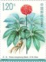 植物:亚洲:中国:cn202303.jpg