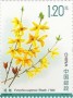 植物:亚洲:中国:cn202305.jpg
