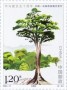 植物:亚洲:中国:cn202402.jpg