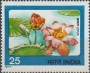 植物:亚洲:印度:in197701.jpg