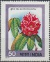 植物:亚洲:印度:in197702.jpg
