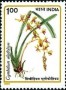 植物:亚洲:印度:in199101.jpg
