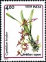 植物:亚洲:印度:in199104.jpg