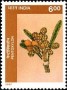 植物:亚洲:印度:in199704.jpg