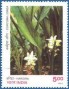 植物:亚洲:印度:in199707.jpg