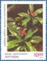植物:亚洲:印度:in199708.jpg
