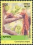 植物:亚洲:印度:in200301.jpg