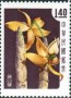 植物:亚洲:台湾:tw195803.jpg