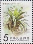 植物:亚洲:台湾:tw200901.jpg