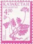 植物:亚洲:哈萨克斯坦:kz199904.jpg