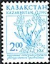 植物:亚洲:哈萨克斯坦:kz200202.jpg