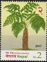 植物:亚洲:尼泊尔:np201703.jpg