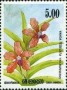 植物:亚洲:斯里兰卡:lk198403.jpg