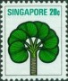 植物:亚洲:新加坡:sg197305.jpg