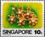 植物:亚洲:新加坡:sg197901.jpg
