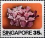 植物:亚洲:新加坡:sg197902.jpg