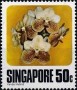 植物:亚洲:新加坡:sg197903.jpg