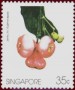 植物:亚洲:新加坡:sg198602.jpg