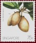 植物:亚洲:新加坡:sg198604.jpg