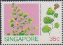 植物:亚洲:新加坡:sg199002.jpg