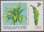 植物:亚洲:新加坡:sg199003.jpg